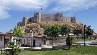 خشکبار