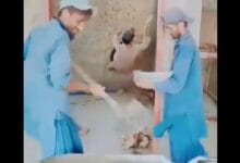 احیای قلب