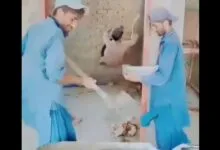 احیای قلب