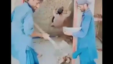 تقسیم ارث پدر و مادر