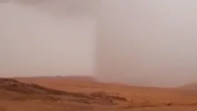 پدیده ای غیرمعمول و نادر در عربستان