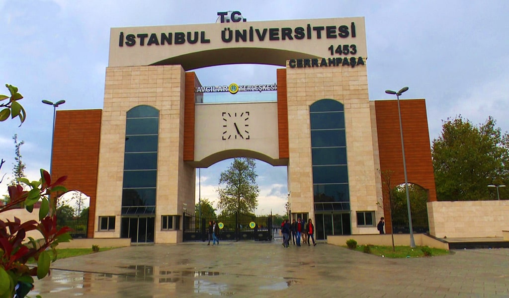 دانشگاه استانبول