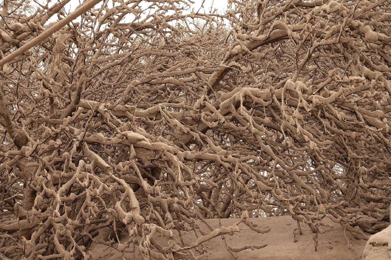 روسیه