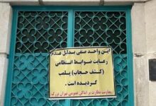 شروین حاجیپور