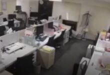 دانه‌ های سویا