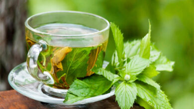 Lemon Balm