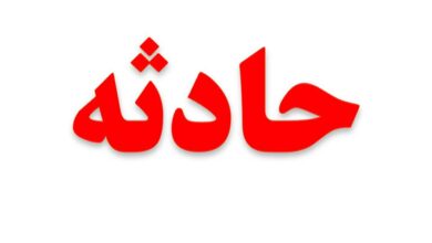 چرخ گوشت