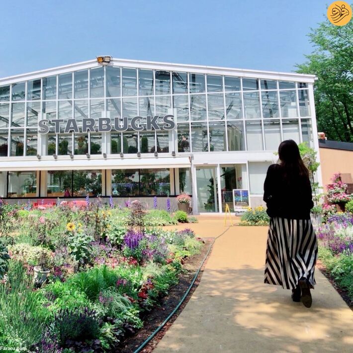 استارباکس