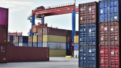 thumbs b c 407c4b3fb24d23c1a0c135022721f95b