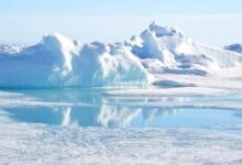 قطب شمال بدون یخ