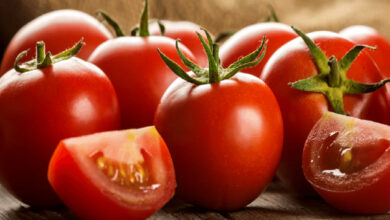 گوجه‌فرنگی