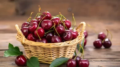 گیلاس