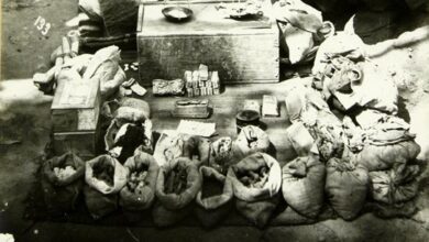 زنان حرمسرای ناصرالدین