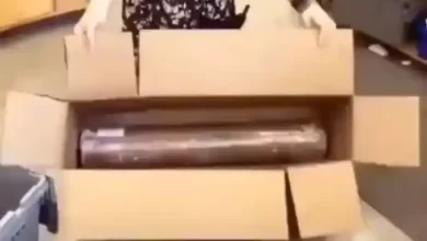بسته بندی 1