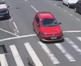 تصادف