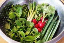 تازه نگه داشتن سبزی خوردن