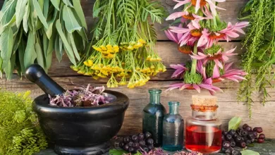 معالجه گیاهی زخم‌ های دستگاه گوارشی