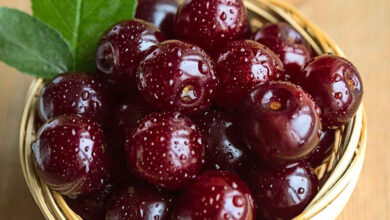 گیلاس
