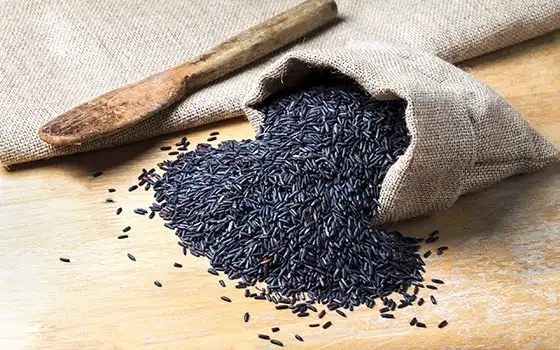 گیاهان دارویی