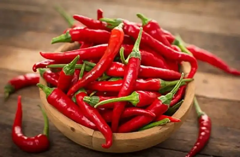 یائسگی
