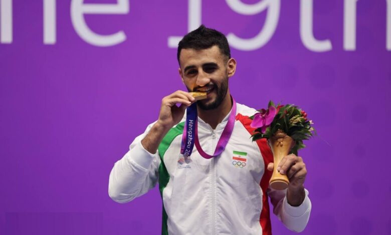 ووشوی ایران