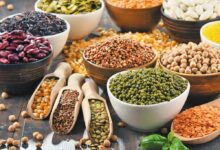 پروتئین گیاهی