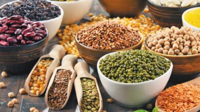 پروتئین گیاهی