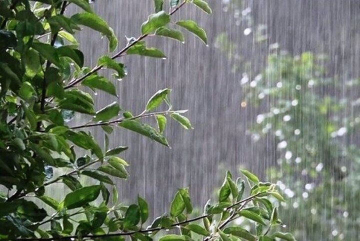 آمستردام