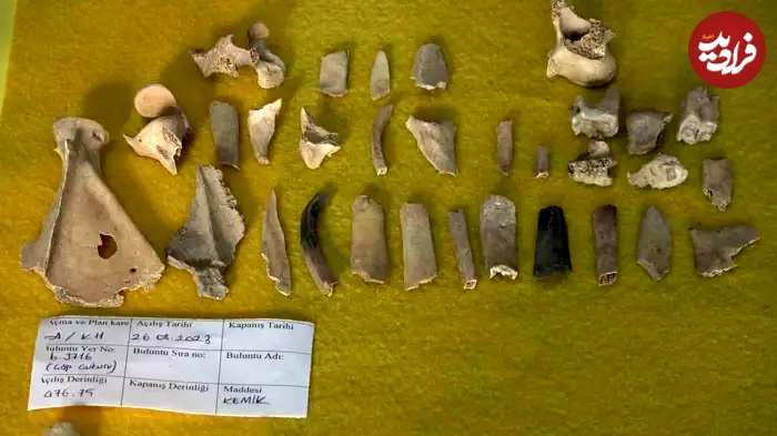 کاخ هخامنشی