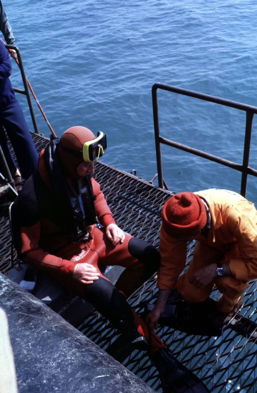 گواهینامه غواصی