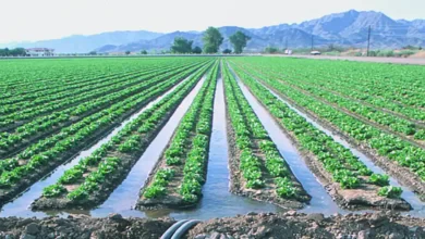 آبیاری زمین کشاورزی
