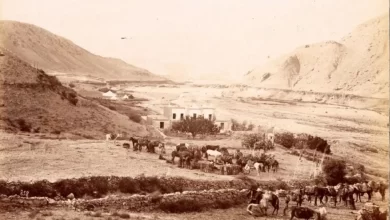 جاده شمال 4