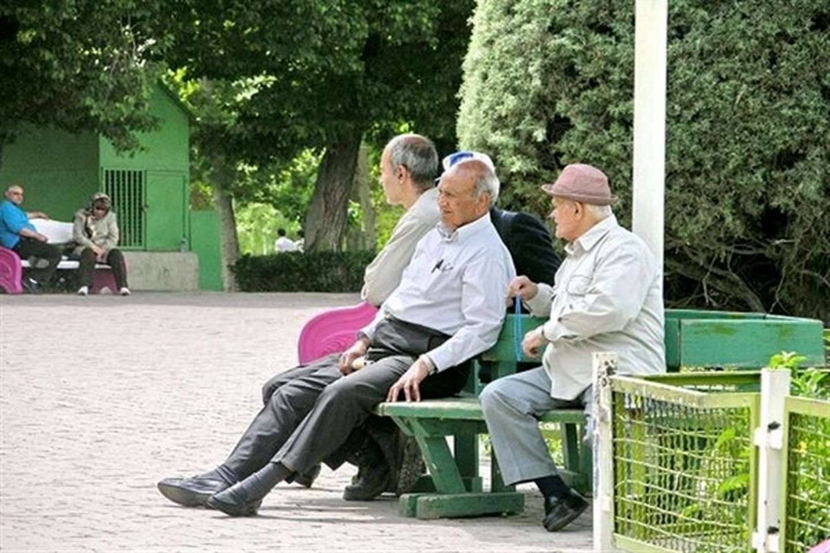 حبیب لیسانسه ها