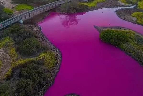 تالاب