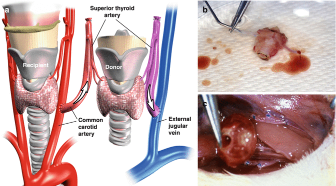 a30f2c88 8b03 4193 8012 f0c2ad2c6aa0