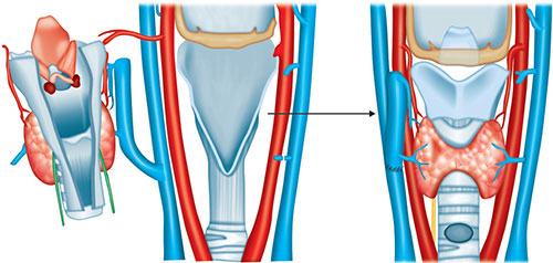 f0052818 2419 47e2 96e4 4b3f5587d8f6