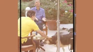 مژده لواسانی و عادل فردوسی پور