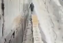 ماهی‌گیری