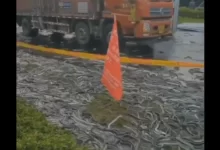 واژگونی کامیون