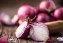 پیاز قرمز