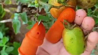 گجت جالب و کاربردی برای کشاورزان