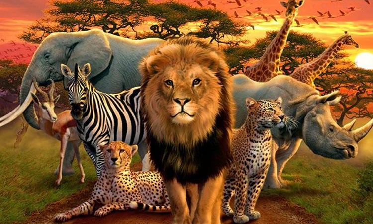 نازنین بیاتی