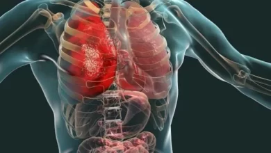 اعضای بدن شما چند سال دارند؟ 5 اعضای بدن