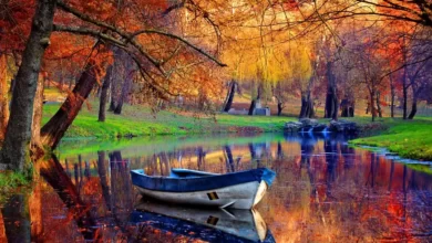 جنگل دالخانی درپائیز هزار رنگ