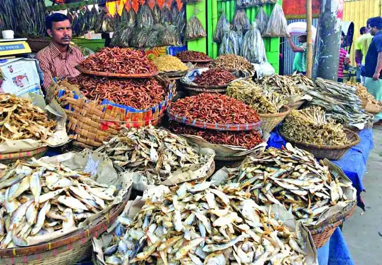 خشک کردن ماهی در بنگلادش 6