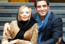 منوچهر هادی