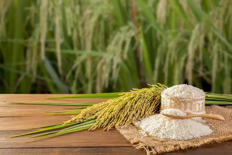 سوختگی با بخار