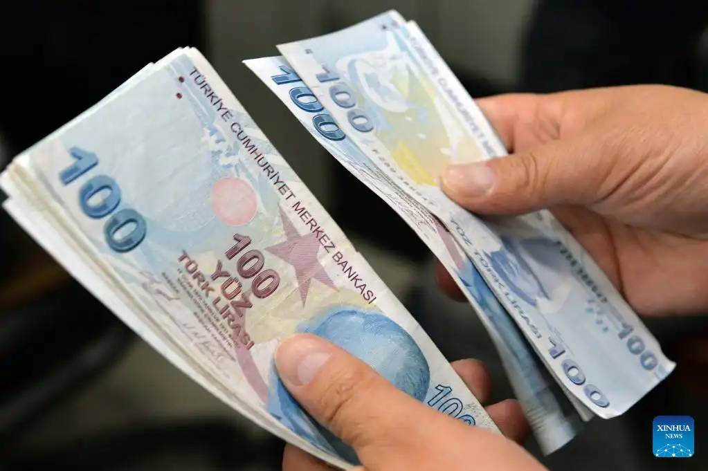 Turkiyes annual inflation 1