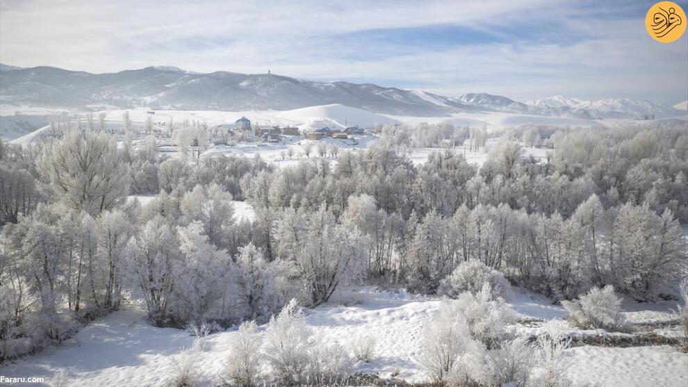 ترکیه