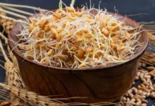 خاصیت پودر جوانه گندم